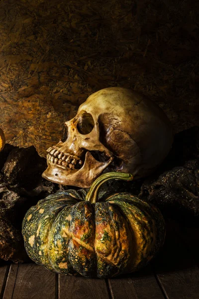 Bodegón Calavera y calabaza en la madera . — Foto de Stock