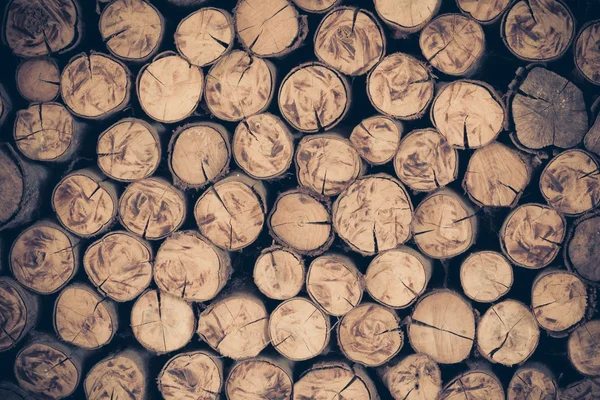 A pile of cut wood stump log texture — Stock Photo, Image