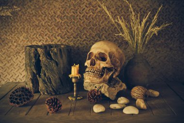 bir kafatası ile natürmort.