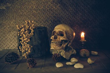 bir kafatası ile natürmort.