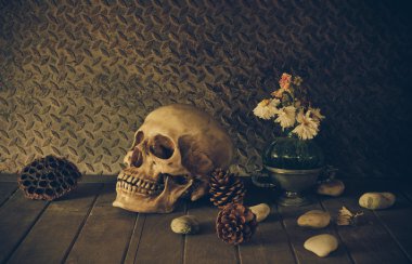 bir kafatası ile natürmort.