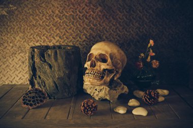 bir kafatası ile natürmort.