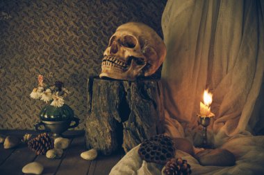 bir kafatası ile natürmort.