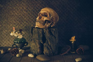 bir kafatası ile natürmort.