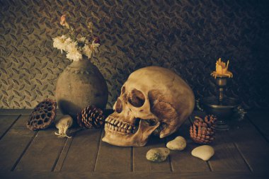 bir kafatası ile natürmort.