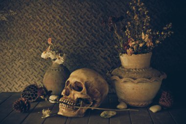 bir kafatası ile natürmort.