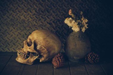 bir kafatası ile natürmort.