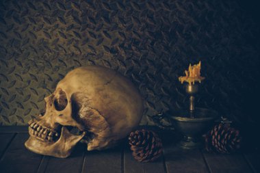 bir kafatası ile natürmort.