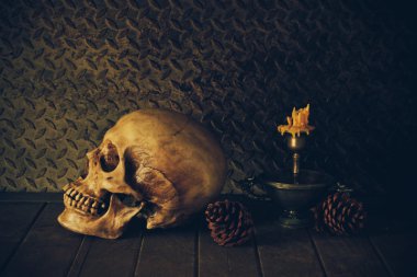 bir kafatası ile natürmort.