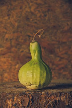 su kabakları ile natürmort Sanat Fotoğrafçılık