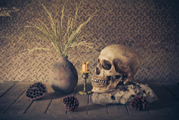 bir kafatası ile natürmort.