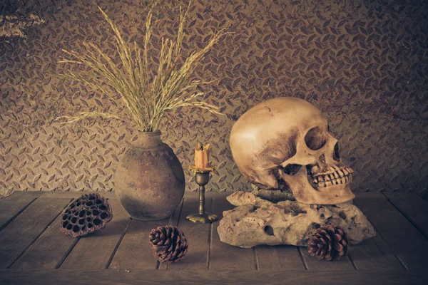 bir kafatası ile natürmort.