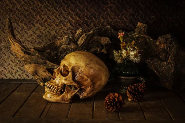 bir kafatası ile natürmort.