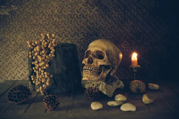 bir kafatası ile natürmort.