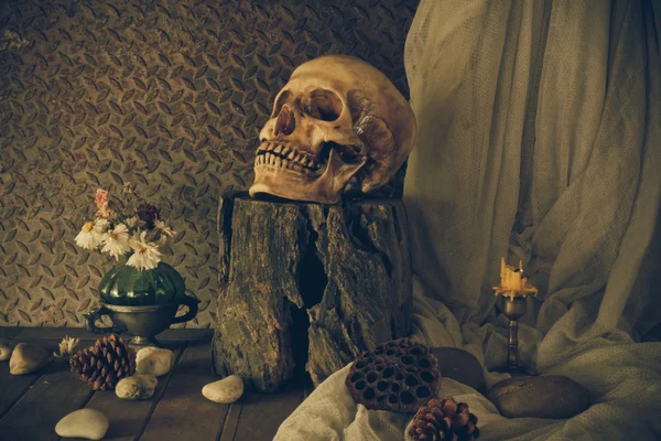 bir kafatası ile natürmort.