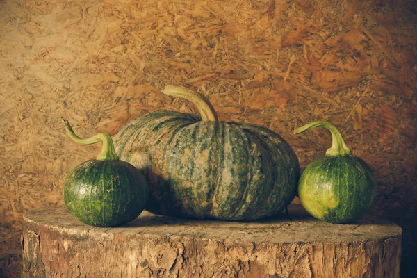 Natura morta zucca — Foto Stock