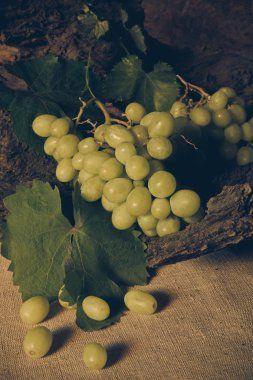 Yeşil üzüm ile natürmort.