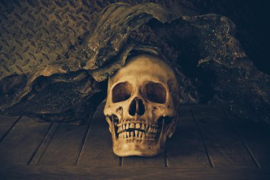  bir kafatası ile natürmort.