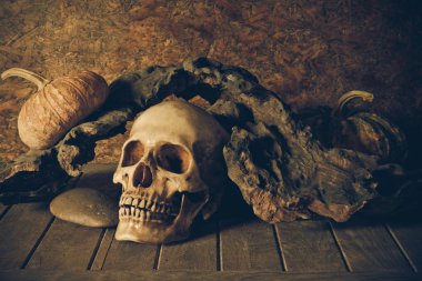 Natürmort kafatası ve tahta üzerinde kabak.