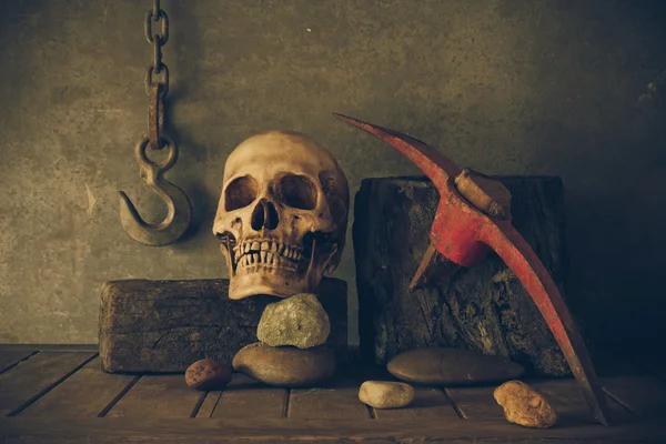 Still Life with a Skull. — Stock Photo, Image