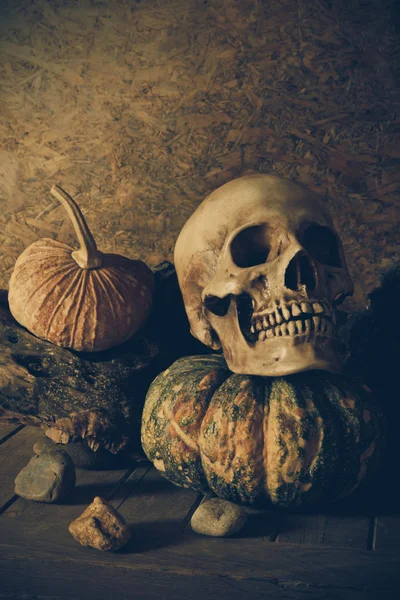 Bodegón Calavera y calabaza en la madera . — Foto de Stock