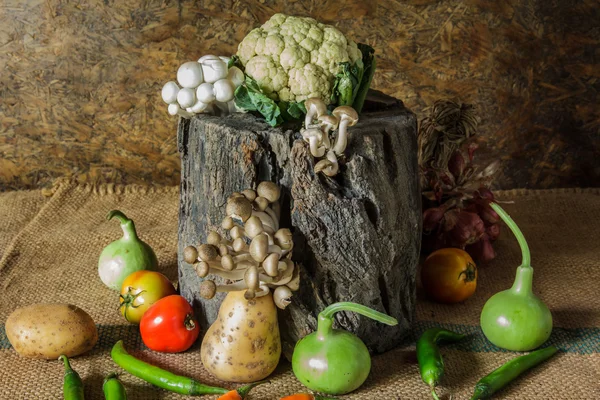 Still life  Vegetables, Herbs and Fruits — Stock Photo, Image