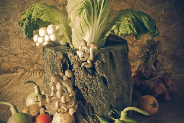 Still life  Vegetables, Herbs and Fruits — Stock Photo, Image