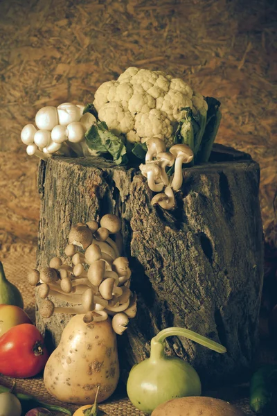 Nature morte Légumes, herbes et fruits — Photo