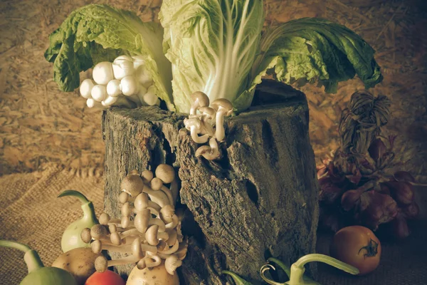 Nature morte Légumes, herbes et fruits — Photo