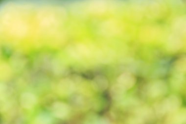 Soyut bokeh ve bulanık yeşil doğa arka plan 