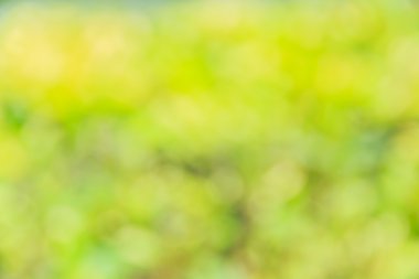 Soyut bokeh ve bulanık yeşil doğa arka plan 