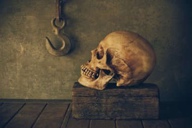  bir kafatası ile natürmort.