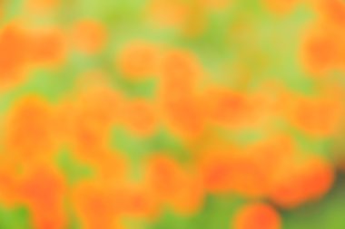 Soyut bokeh ve bulanık yeşil doğa arka plan