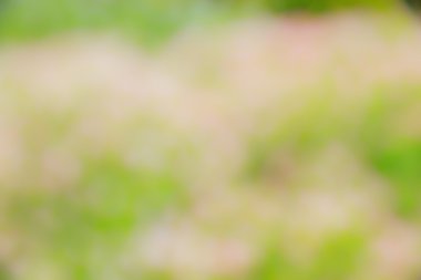 Soyut bokeh ve bulanık yeşil doğa arka plan 