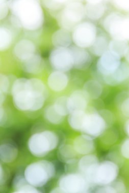 Soyut bokeh ve bulanık yeşil doğa arka plan 