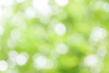 Soyut bokeh ve bulanık yeşil doğa arka plan 