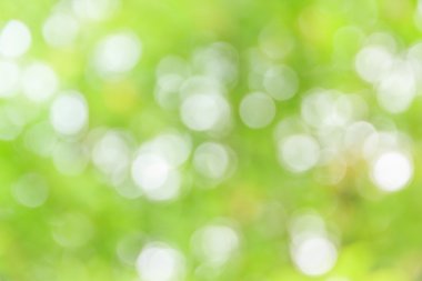 Soyut bokeh ve bulanık yeşil doğa arka plan 