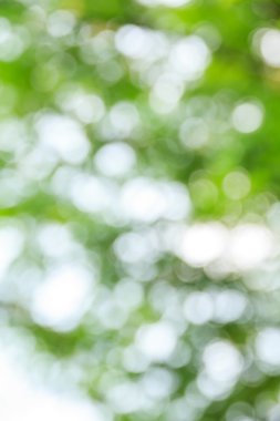 Soyut bokeh ve bulanık yeşil doğa arka plan 