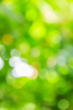 Soyut bokeh ve bulanık yeşil doğa arka plan 