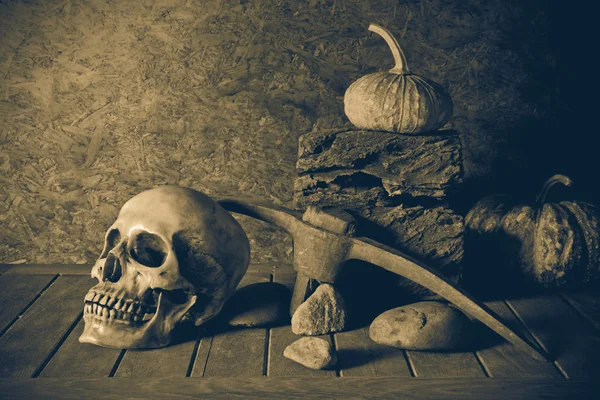 静物頭蓋骨と木材のカボチャ. — ストック写真