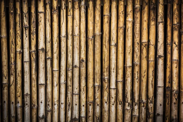 Bamboo wall nature background — Stock Photo, Image