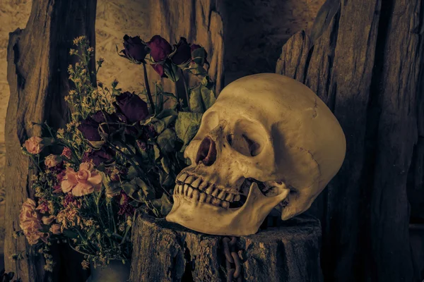 Naturaleza muerta con un cráneo humano con una rosa roja . —  Fotos de Stock