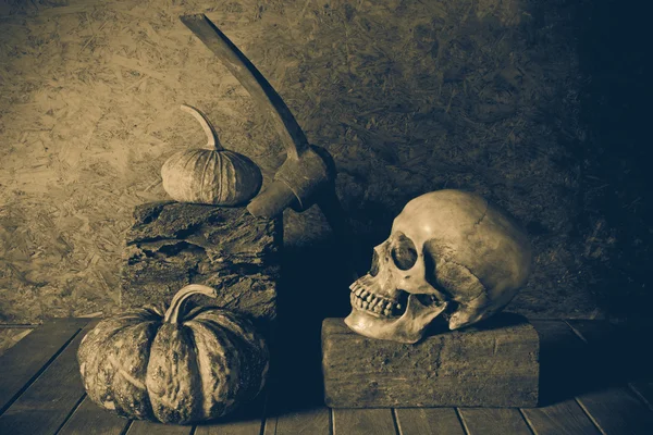 静物頭蓋骨と木材のカボチャ. — ストック写真