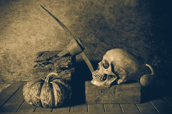 Natürmort kafatası ve tahta üzerinde kabak. — Stok fotoğraf