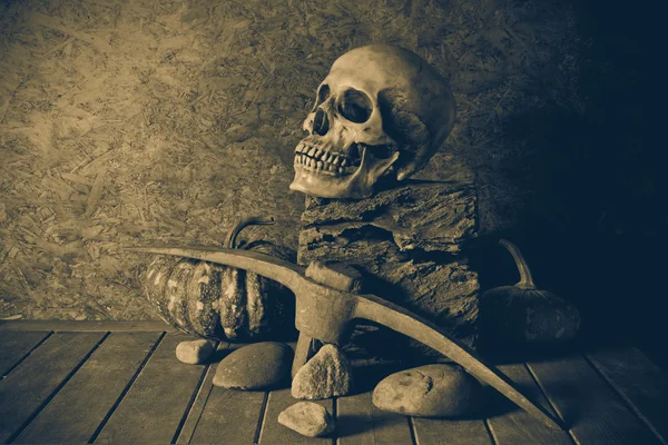 Natürmort kafatası ve tahta üzerinde kabak. — Stok fotoğraf
