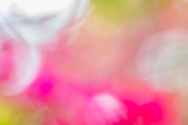 Soyut bokeh ve bulanık beyaz ve pembe doğa arka plan 
