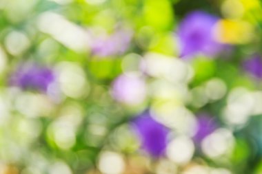 Soyut bokeh ve bulanık yeşil doğa arka plan 