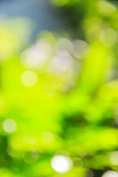 Abstracte bokeh en wazig groene natuur achtergrond — Stockfoto