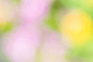 Sarı ve yeşil arka plan doğal 