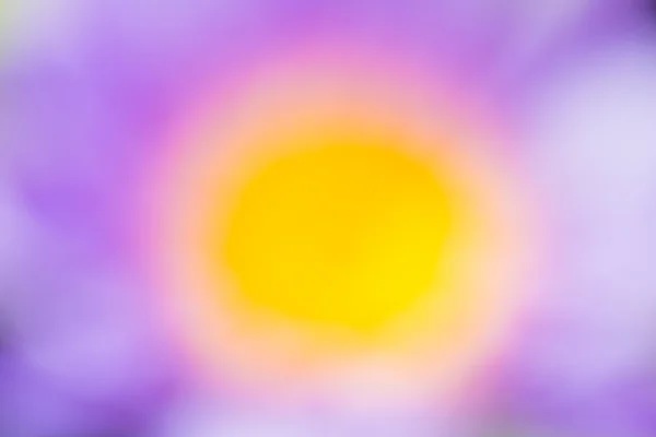 紫と黄色自然な背景を抽象化 — ストック写真